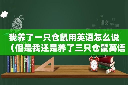 我养了一只仓鼠用英语怎么说（但是我还是养了三只仓鼠英语翻译）