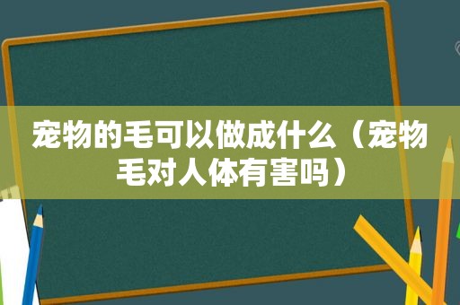宠物的毛可以做成什么（宠物毛对人体有害吗）