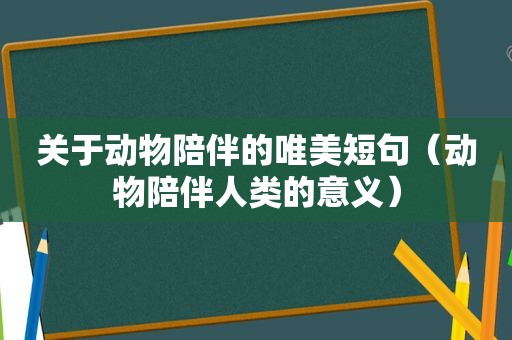 关于动物陪伴的唯美短句（动物陪伴人类的意义）
