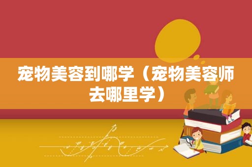 宠物美容到哪学（宠物美容师去哪里学）
