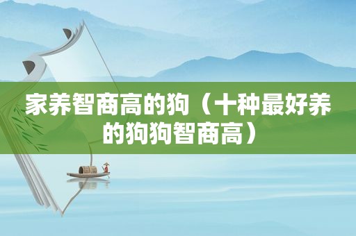 家养智商高的狗（十种最好养的狗狗智商高）