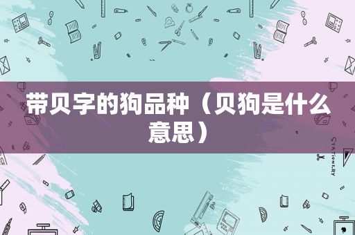带贝字的狗品种（贝狗是什么意思）