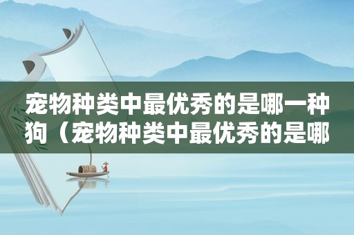 宠物种类中最优秀的是哪一种狗（宠物种类中最优秀的是哪一种）