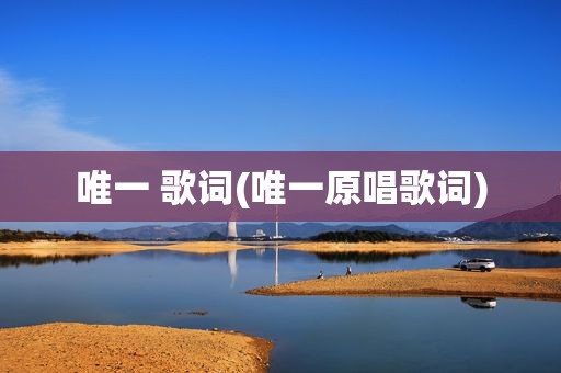 唯一 歌词(唯一原唱歌词)