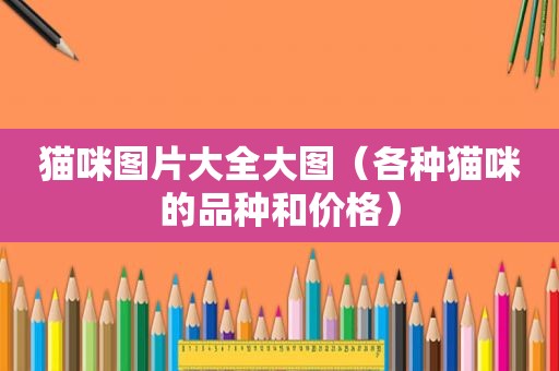 猫咪图片大全大图（各种猫咪的品种和价格）