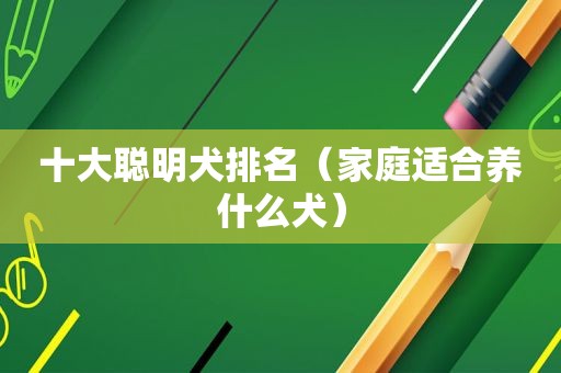 十大聪明犬排名（家庭适合养什么犬）
