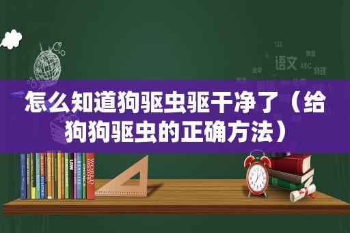怎么知道狗驱虫驱干净了（给狗狗驱虫的正确方法）