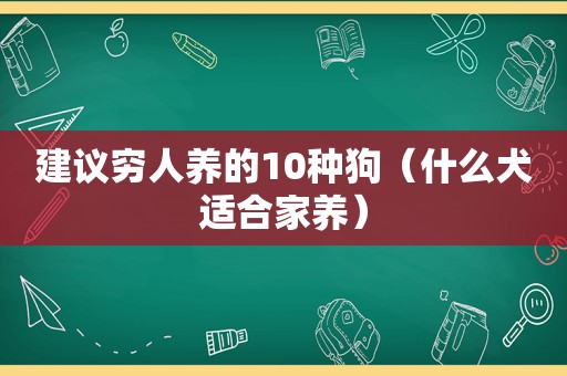 建议穷人养的10种狗（什么犬适合家养）