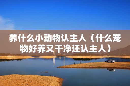 养什么小动物认主人（什么宠物好养又干净还认主人）