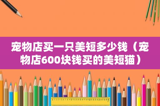 宠物店买一只美短多少钱（宠物店600块钱买的美短猫）