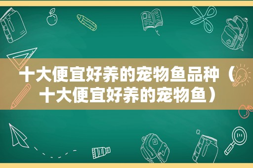十大便宜好养的宠物鱼品种（十大便宜好养的宠物鱼）
