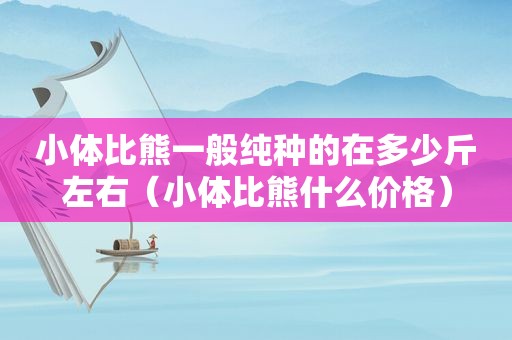 小体比熊一般纯种的在多少斤左右（小体比熊什么价格）