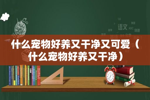什么宠物好养又干净又可爱（什么宠物好养又干净）