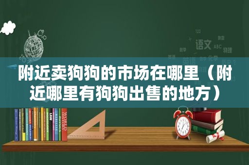 附近卖狗狗的市场在哪里（附近哪里有狗狗出售的地方）