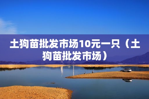 土狗苗批发市场10元一只（土狗苗批发市场）