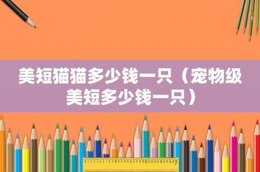 美短猫猫多少钱一只（宠物级美短多少钱一只）