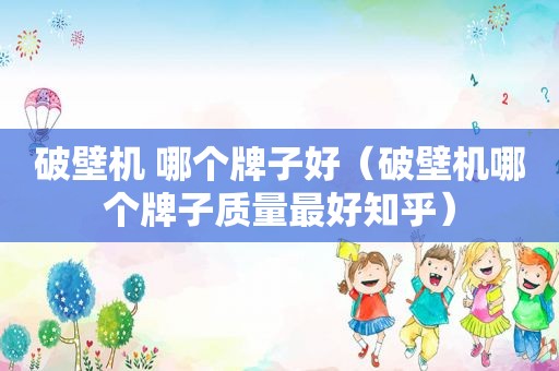 破壁机 哪个牌子好（破壁机哪个牌子质量最好知乎）