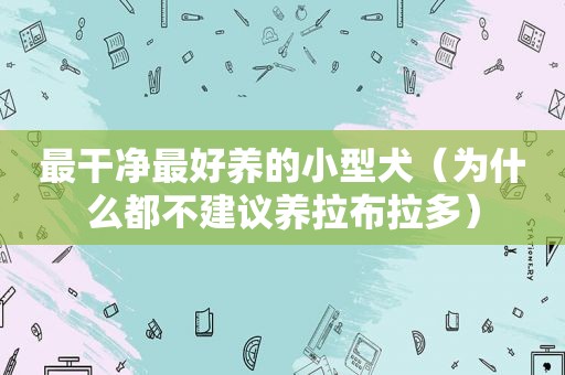 最干净最好养的小型犬（为什么都不建议养拉布拉多）