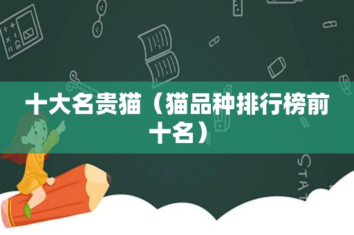 十大名贵猫（猫品种排行榜前十名）