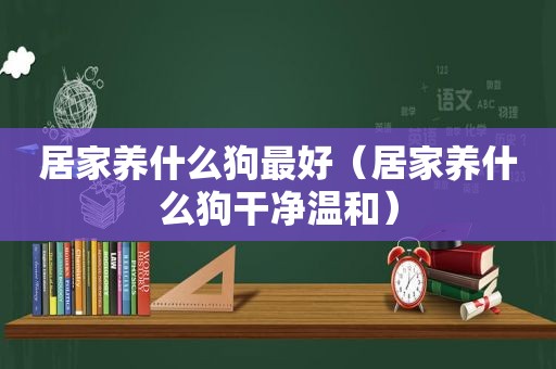 居家养什么狗最好（居家养什么狗干净温和）