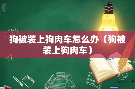 狗被装上狗肉车怎么办（狗被装上狗肉车）