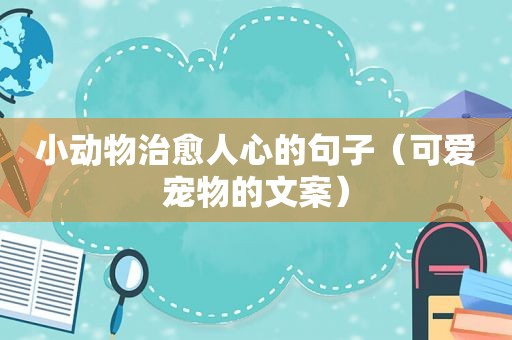 小动物治愈人心的句子（可爱宠物的文案）