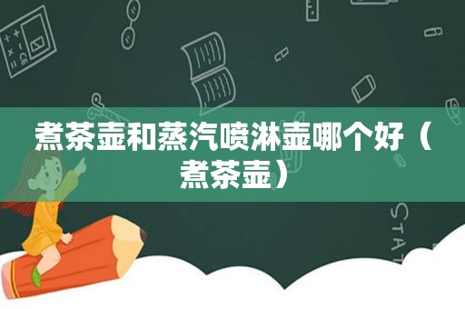 煮茶壶和蒸汽喷淋壶哪个好（煮茶壶）