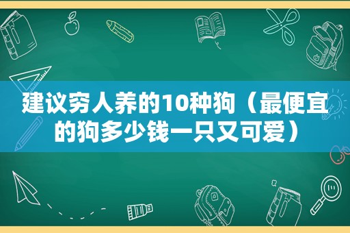建议穷人养的10种狗（最便宜的狗多少钱一只又可爱）