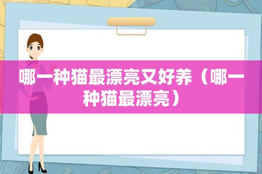 哪一种猫最漂亮又好养（哪一种猫最漂亮）
