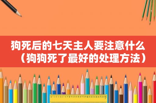 狗死后的七天主人要注意什么（狗狗死了最好的处理方法）