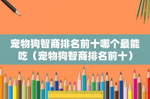 宠物狗智商排名前十哪个最能吃（宠物狗智商排名前十）