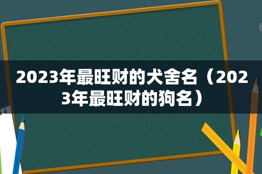 2023年最旺财的犬舍名（2023年最旺财的狗名）