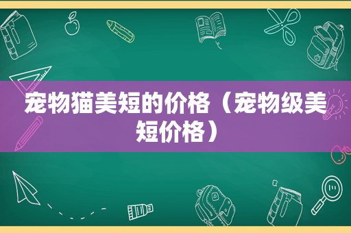 宠物猫美短的价格（宠物级美短价格）