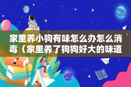 家里养小狗有味怎么办怎么消毒（家里养了狗狗好大的味道怎么除味）