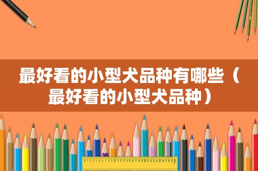 最好看的小型犬品种有哪些（最好看的小型犬品种）