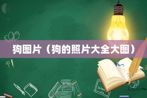 狗图片（狗的照片大全大图）