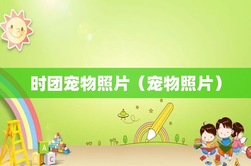 时团宠物照片（宠物照片）