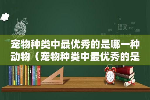 宠物种类中最优秀的是哪一种动物（宠物种类中最优秀的是哪一种）