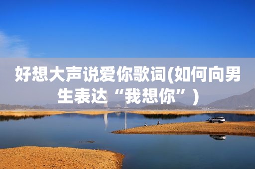 好想大声说爱你歌词(如何向男生表达“我想你”)