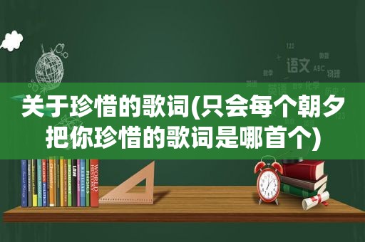 关于珍惜的歌词(只会每个朝夕把你珍惜的歌词是哪首个)