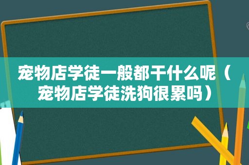 宠物店学徒一般都干什么呢（宠物店学徒洗狗很累吗）