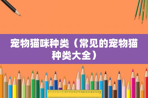 宠物猫咪种类（常见的宠物猫种类大全）