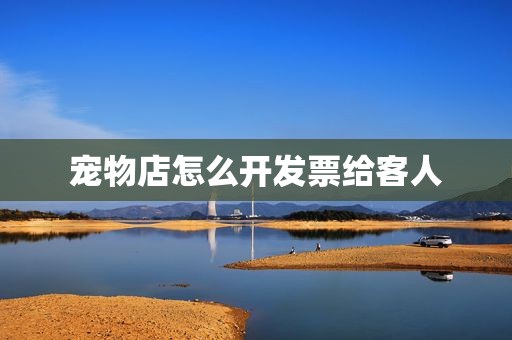 宠物店怎么开发票给客人