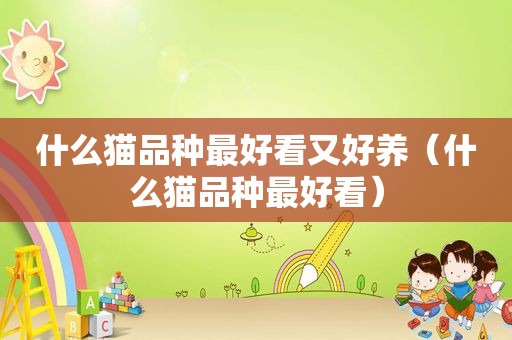 什么猫品种最好看又好养（什么猫品种最好看）