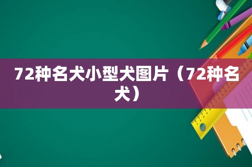 72种名犬小型犬图片（72种名犬）
