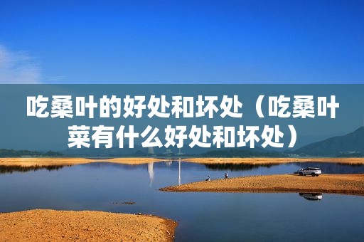 吃桑叶的好处和坏处（吃桑叶菜有什么好处和坏处）