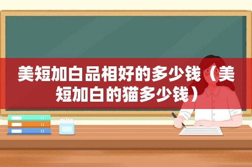 美短加白品相好的多少钱（美短加白的猫多少钱）