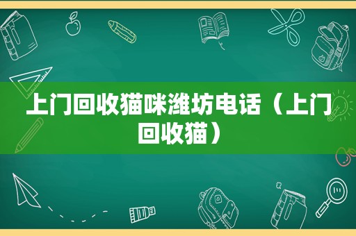 上门回收猫咪潍坊电话（上门回收猫）