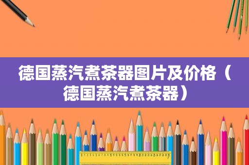 德国蒸汽煮茶器图片及价格（德国蒸汽煮茶器）