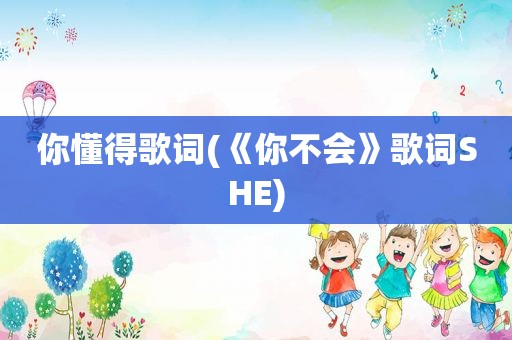  *** 歌词(《你不会》歌词SHE)